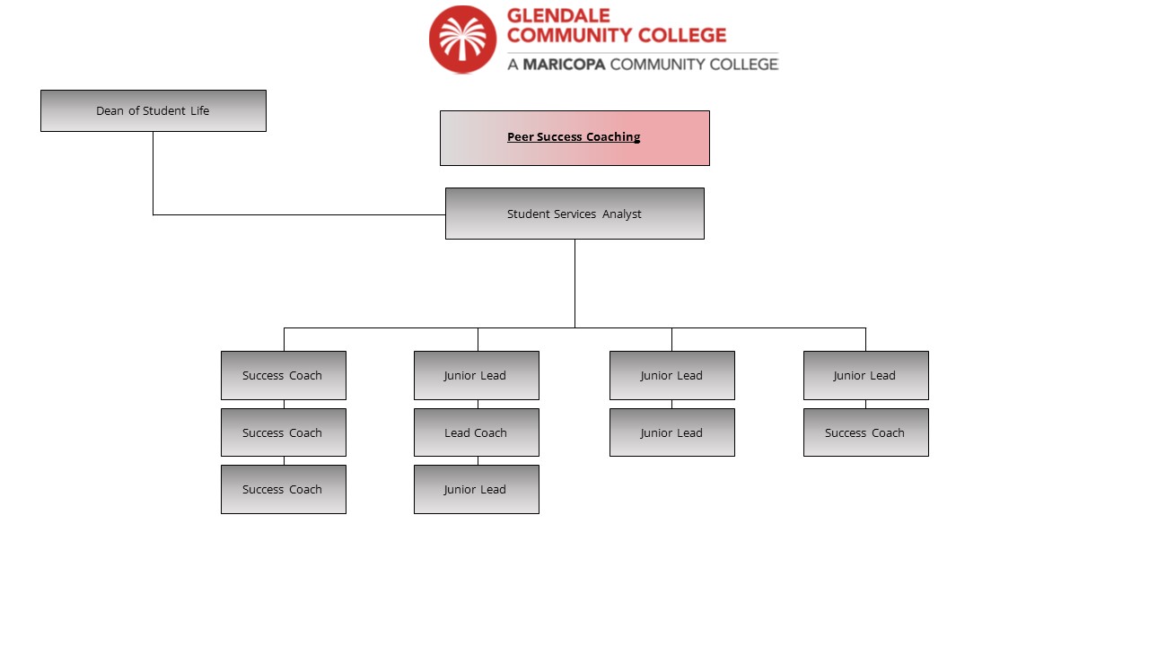 An image of the Peer Success Coaching organization chart.