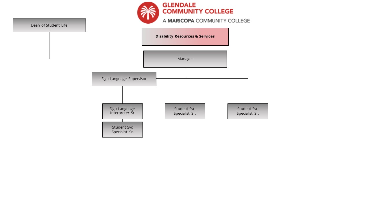 An image of the Disability Resources & Services organization chart.