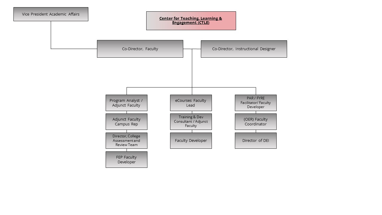 An image of the Center for Teaching, Learning & Engagement (CTLE) organization chart.