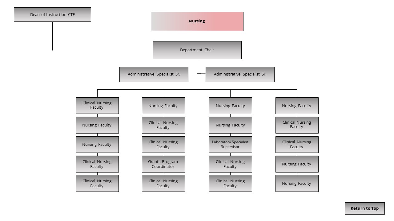 An image of the Nursing organization chart.