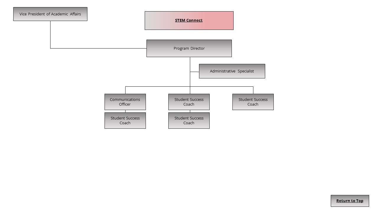 An image of the STEM Connect organization chart.