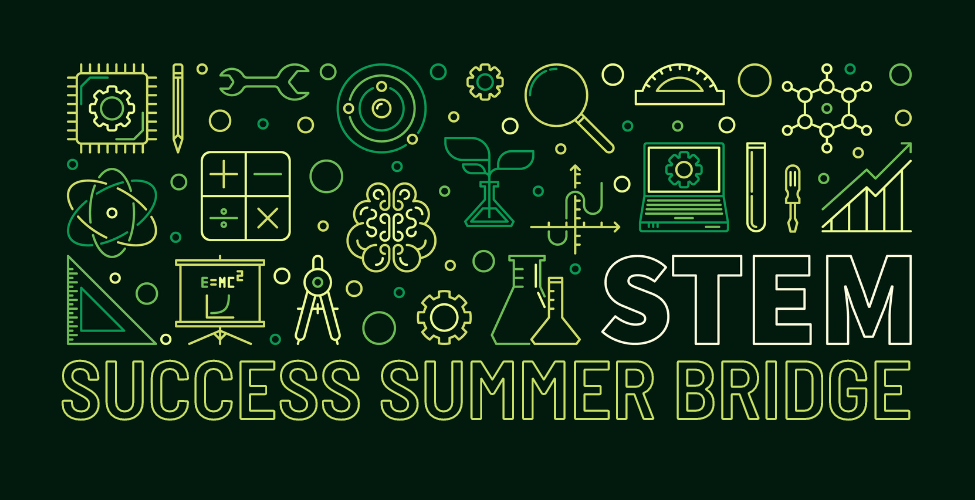 STEM Summer Bridge with STEM Icons