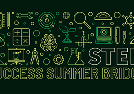 STEM Summer Bridge with STEM Icons