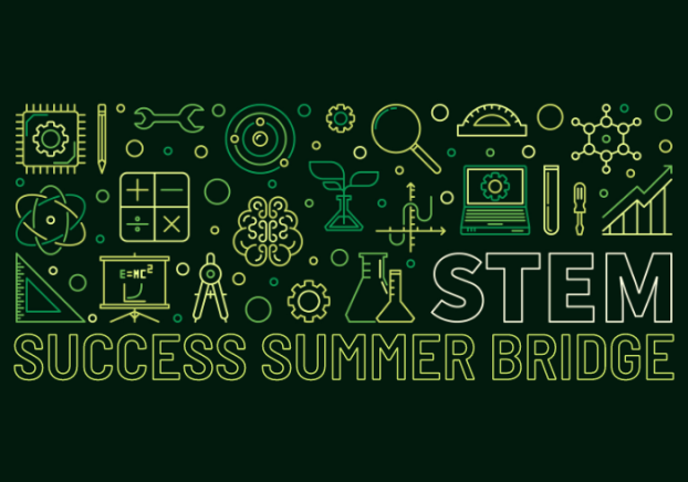 The words, STEM Summer Bridge, with STEM icons