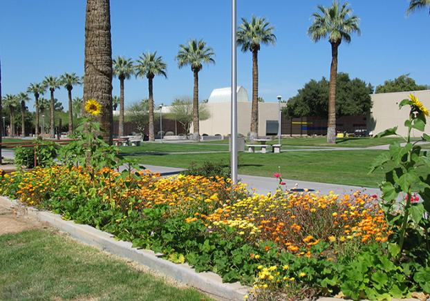 Picture of the Main Campus Center Mall.